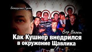 Как Кушнер внедрялся в окружение Щавлика