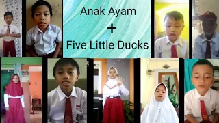Anak Ayam + Five Little Ducks