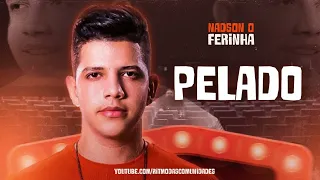 NADSON O FERINHA - PELADO - 2023 ATUALIZADO