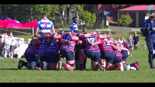 The Southport School 1 XV Rugby 2019 | UNDEFEATED PREMIERS