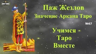 Паж Жезлов - значение аркана Таро: / личная жизнь / финансы / перспективы / совет.