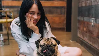 Billie Eilish being cute for 5 minutes and 24 seconds straight (Animal & Kids) ❤