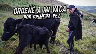 ORDEÑANDO A MI VACA POR PRIMERA VEZ | John Valverde