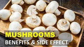 Mushrooms Health Benefits and Side Effects, Mushrooms Contain Protein, Vitamins