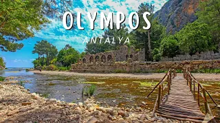 Olimpos(Olympos) Antalya | Antik kent travel guide #antalya #olympos #olimpos