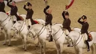 The Spanish Riding School of Vienna 08