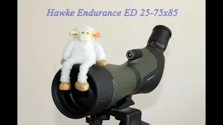 Hawke Endurance ED 25-75x85 spotting scope review