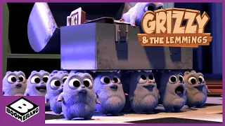 Grizzy und die Lemminge | Baby-Grizzy | Cartoonito