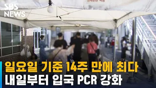 일요일 기준 14주 만에 최다…내일부터 입국 PCR 강화 / SBS