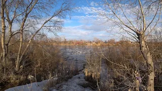 Ледоход на реке Алей г.Рубцовск 29 марта 2019