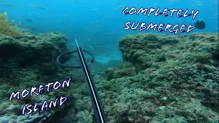 SPEARFISHING MORETON ISLANDS OUTER REEFS/ QUEENSLAND AUSTRALIA