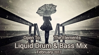 ► Liquid Drum & Bass Mix - "Open To The Elements" - February 2017