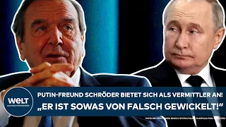 PUTINS KRIEG: Gerhard Schröder als Vermittler? „Er ist so was von falsch gewickelt“