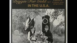 Diggin' For Gold #7 A collection of 15 superior sixties garage winners; In the U.S.A.