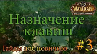 Назначение клавиш или бинды в World of Warcraft