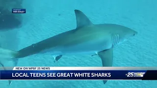 Jupiter teen divers come face to face with two great white sharks in two days