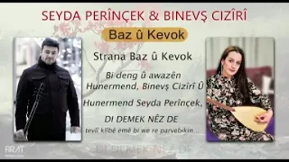 Baz û kevok - ( xuna canem sar nebu )  SEYDA PERİNÇEK & BINEVŞ CİZİRİ