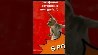 фильм осторожно кенгуру