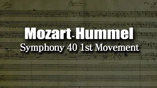 Mozart - Hummel Symphony 40 1st Movement