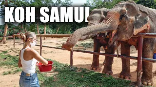 Wie soll es bloß weiter gehen? Koh Samui Elephant Sanctuary • Thailand | VLOG 538
