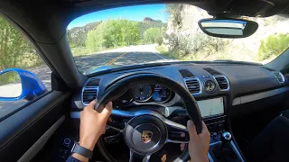 Porsche GT4 Driving POV