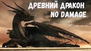 Dark souls 2. Древний дракон без получения урона, щита и перекатов