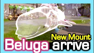 New Mount Beluga arrive / Dragon Nest Korea (2023 Jan)