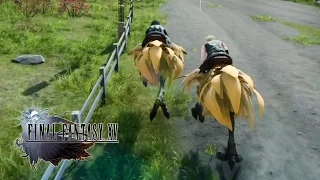 Final Fantasy XV - Chocobo Race Gameplay @ 1080p HD ✔