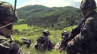 Sile Slovenske vojske