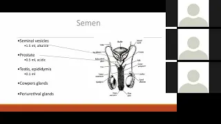 The Evaluation and Management of an Azoospermic Male