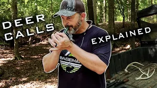 Deer Sounds You Should Know! Fundamental Breakdown