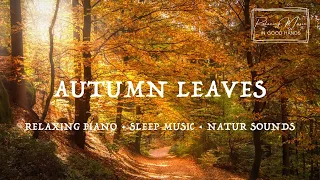 🌿 AUTUMN LEAVES • Relaxing Piano Music • Deep Healing Music For The Body