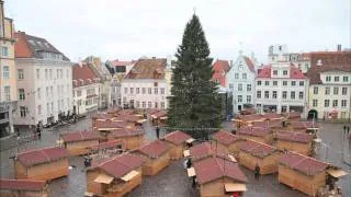 Tallinn Jõuluturg 2011 Raekoja platsil ümber kukkunud kuusk