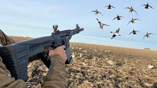 INSANE AR-12 Shotgun Duck Hunting! (ALL DRAKE MIXED BAG)