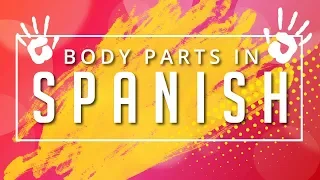 [Learn Spanish] Human Body Parts in Spanish | Basic Spanish Vocabulary