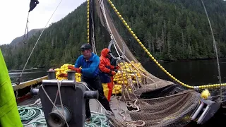 Alaska salmon seining