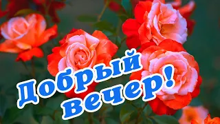 🌙 ДОБРЫЙ ВЕЧЕР / ДОБРОГО ВЕЧЕРА / ОТКРЫТКИ ДОБРЫЙ ВЕЧЕР / ПРИЯТНОГО ВЕЧЕРА / ХОРОШЕГО ВЕЧЕРА / РОЗЫ