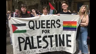 Palestinians: What do you think of "Queers for Palestine"?