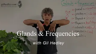 Glands & Frequencies: Learn Integral Anatomy with Gil Hedley