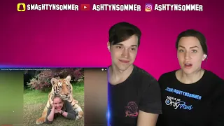 Cute LionsTigersCheetah Videos Compilation Cutest Animals Moments   reaction