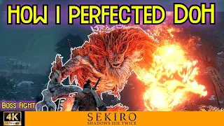 Demon of Hatred | Sekiro | PERFECTED