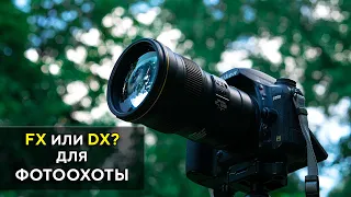 Nikon D5500 VS Nikon  D750 для Фото охоты 300мм F4 FL