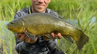 Tench fishing with lift method. Ditch fishing