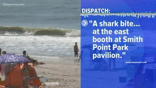 String of shark attacks on the East Coast