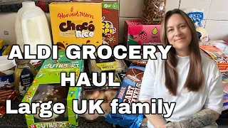 ALDI GROCERY SHOPPING HAUL|WEEKLY FOOD TOP UP|£100|LARGE UK FAMILY|BUDGET MEAL IDEAS