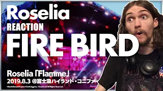 Roselia - FIRE BIRD (Live) reaction/review