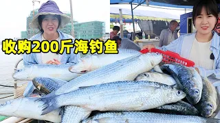 Can we catch fish during the fishing moratorium! A Yu Mei bought 200kg of sea fishing at 6 o'clock