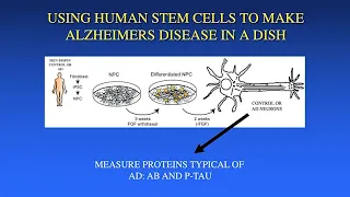 Using Stem Cells to Probe Mechanisms of Neuronal Changes in Alzheimer's Disease - Larry Goldstein