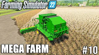 I Started the COTTON HARVEST and MADE a MILLION | MEGA FARM | Farming Simulator 22 Timelapse