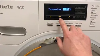 How to use Miele washing machine W1 twin dos（2）